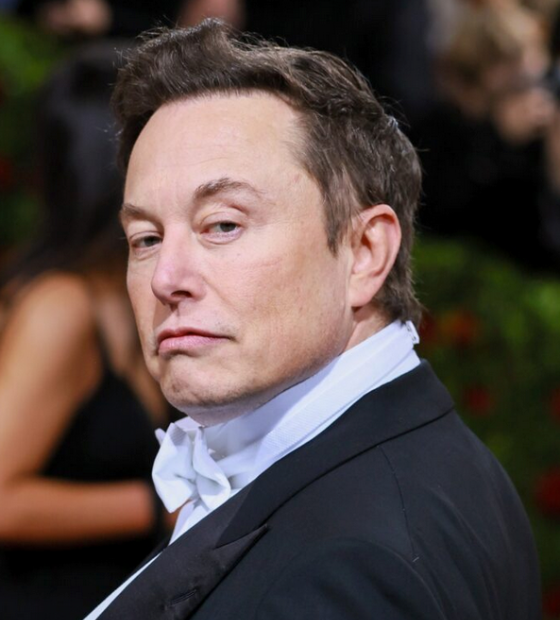  Musk chama Moraes de 'ditador' em nova publicação e diz que ministro tem 'Lula na coleira'