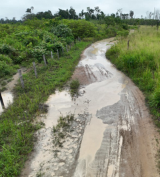 MPF quer assegurar melhores condições de acesso e de infraestrutura em escolas de assentamentos em Pacajá (PA)