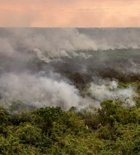 Pantanal poderá ter crise hídrica histórica em 2024, aponta estudo