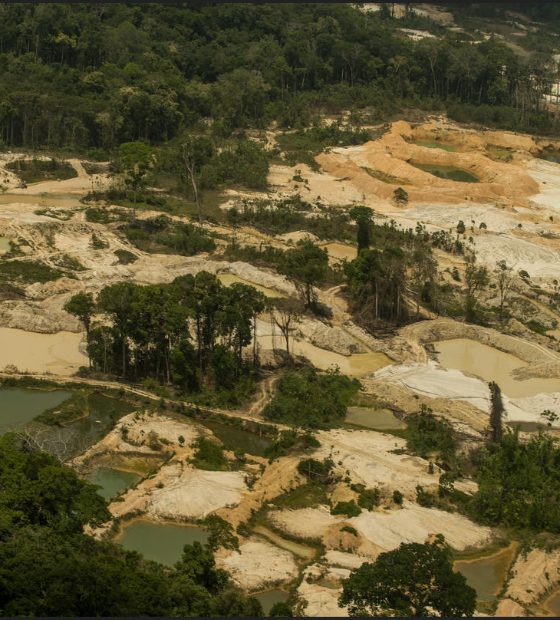 MPF recomenda medidas para segurança após fim da primeira fase da desintrusão da Terra Indígena Munduruku no Pará