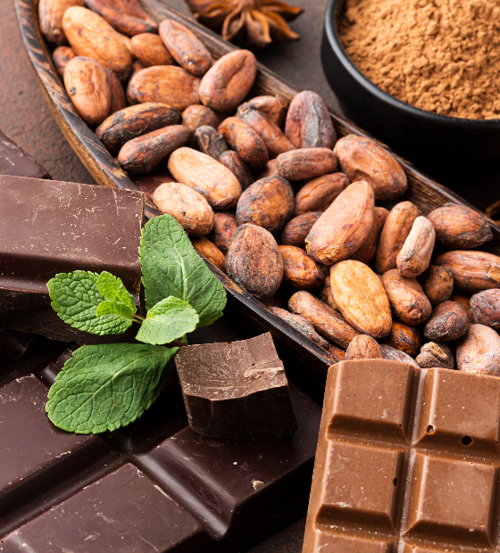Dia Mundial do Chocolate: consumo de chocolate orgânico é mais nutritivo e sustentável