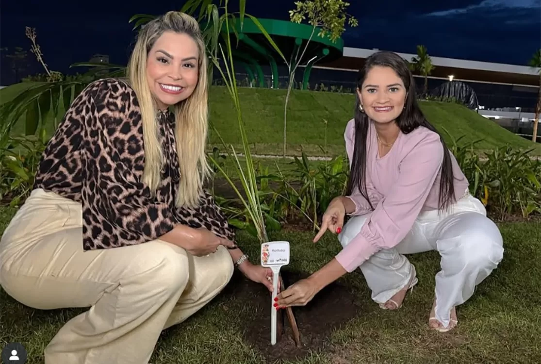 Sobre biquíni, likes e a linha que separa o marketing político da improbidade