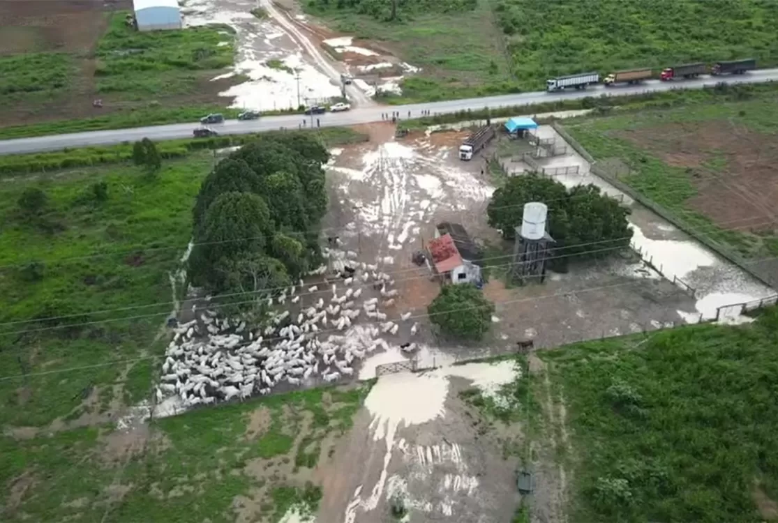 Justiça Federal exige ‘nome aos bois’ e abre 