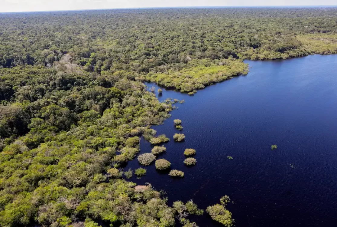 Queda no desmatamento da Amazônia vira carta na manga às vésperas da COP30