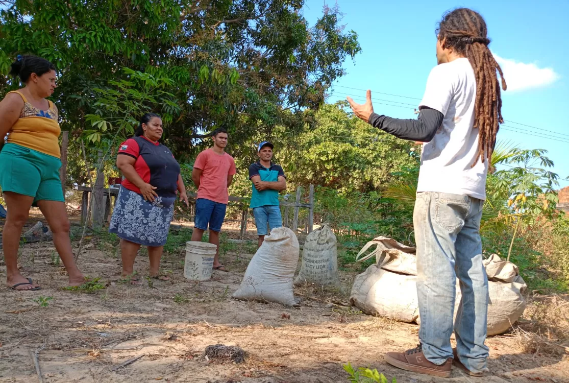 Projeto Corredor de Biodiversidade da Amazônia implanta 150 quintais florestais 