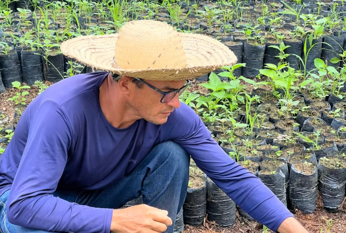 Fórum Territorial celebra conquistas do primeiro ciclo do Programa Paricá e fortalece alianças