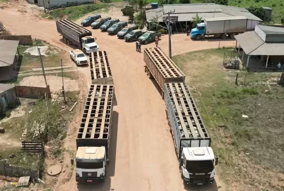 Ibama confirma morte de vaqueiro durante emboscada na Terra Indígena Apyterewa