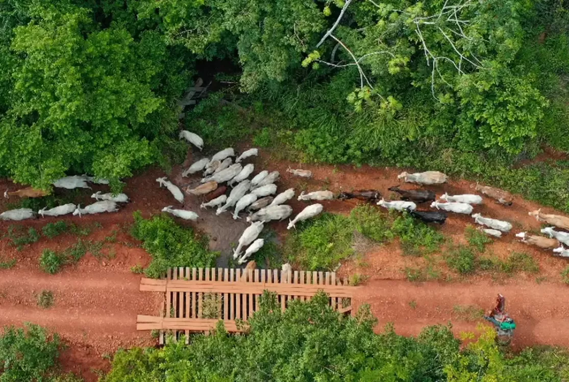 Funai solicita apoio da PF para investigar emboscada que vitimou vaqueiro no Pará