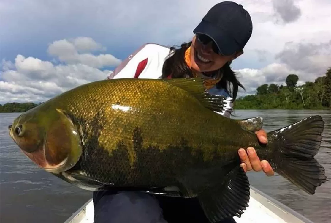 Brasil deixa porta escancarada e vê riquezas mudarem de mãos sem licença
