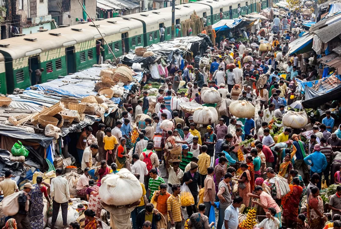 O colapso populacional e seus efeitos e desafios no mundo global