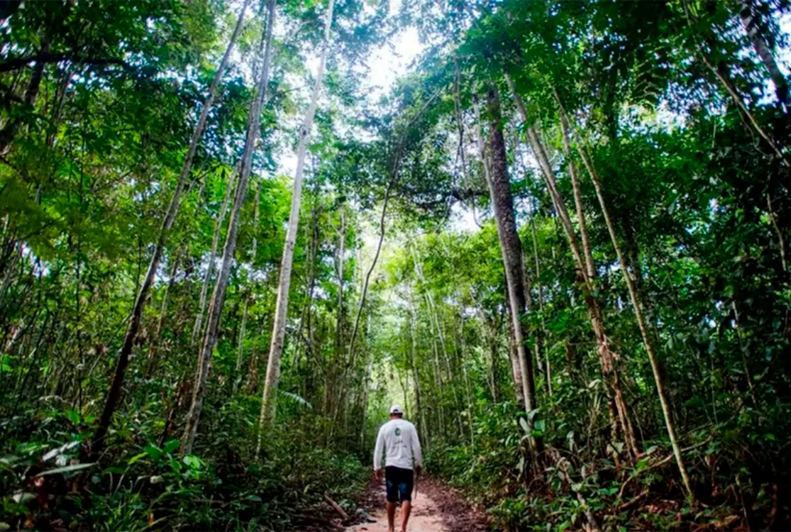 Pará lança chamada pública para acesso à Lei de Responsabilidade Ambiental