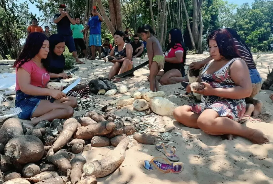 STF determina desintrusão da Terra Indígena Cachoeira Seca, do povo Arara, no Pará