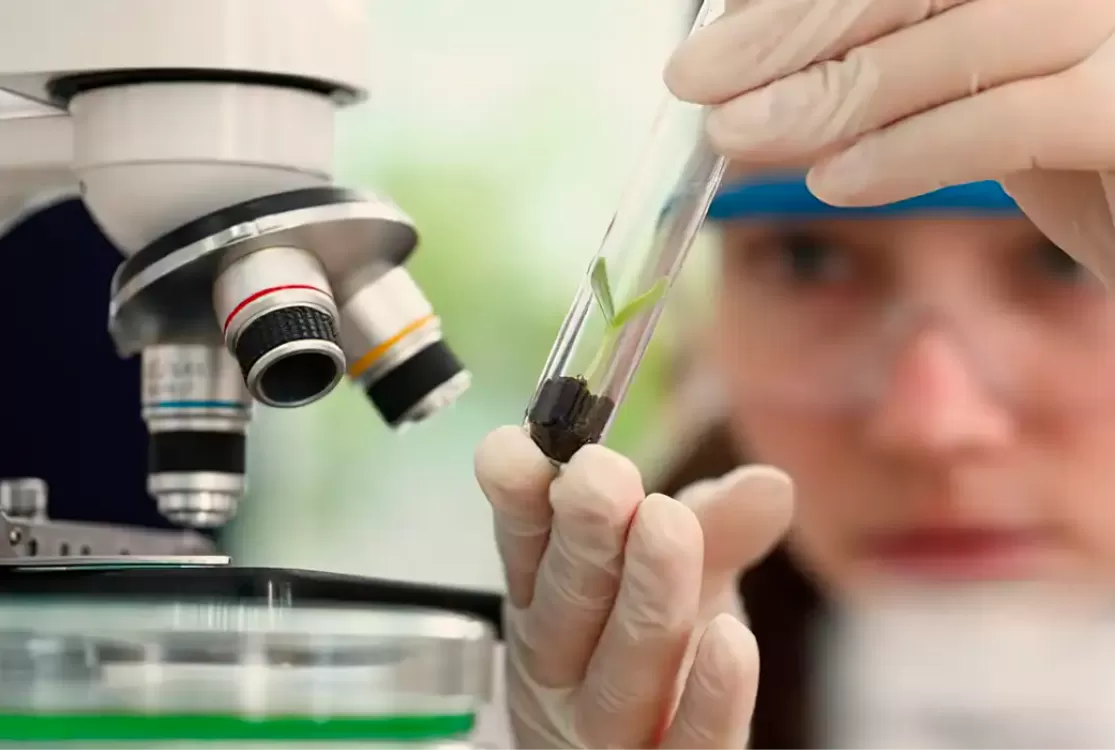 Prêmio para mulheres e meninas cientistas abre inscrições até outubro