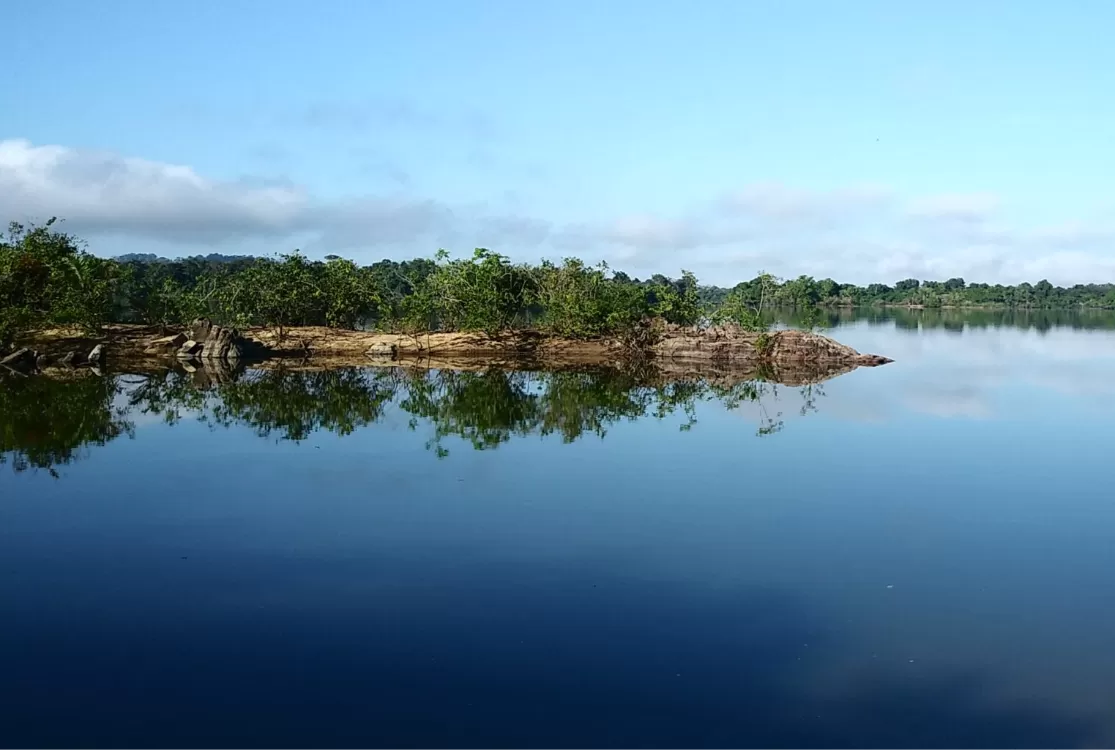 BNDES financia restauração no Pará com R$ 180 milhões do Fundo Clima