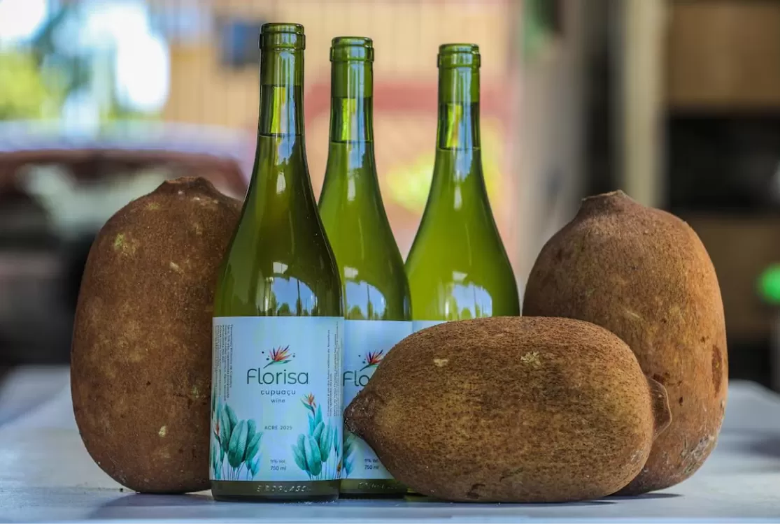 ‘Vinho’ de açaí? Acreano cria bebida fermentada amazônica e chega à gastronomia