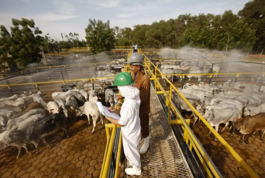 PIB do Pará tem desempenho superior ao nacional no segundo trimestre