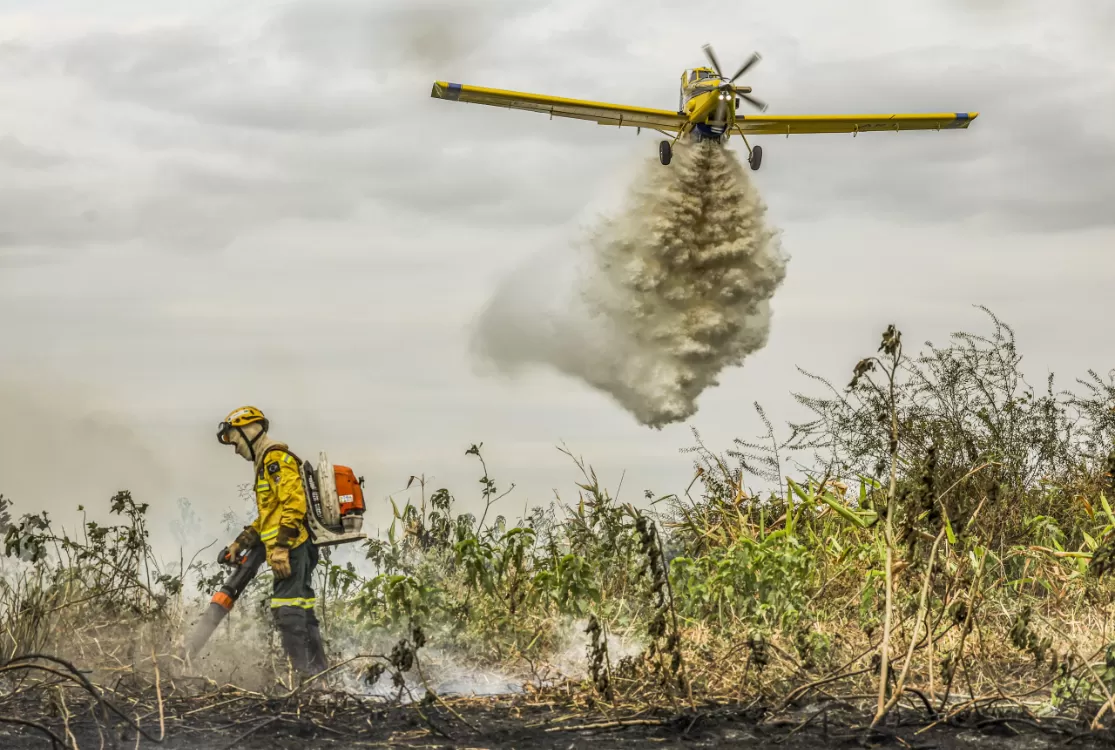 Depois de Manaus, incêndios avançam sobre o oeste do Pará e deixam ar insalubre