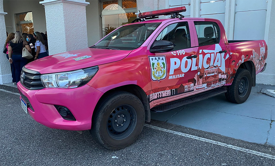 Read more about the article Pintura aplicada em veículos da Polícia Civil e PM gera polêmica e críticas ao governo