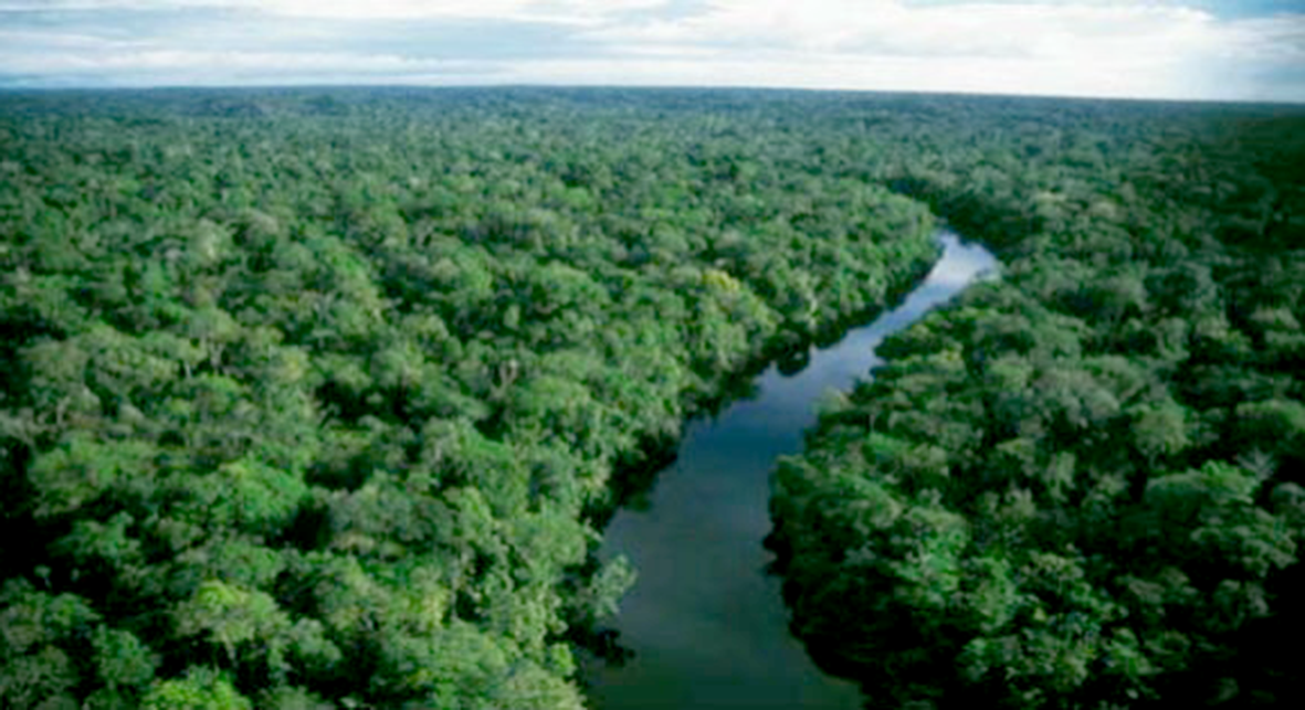 Read more about the article Estudo aponta que queimadas provocaram prejuízos de R$ 1,1 bi ao País em seis anos, a maior parte na Amazônia