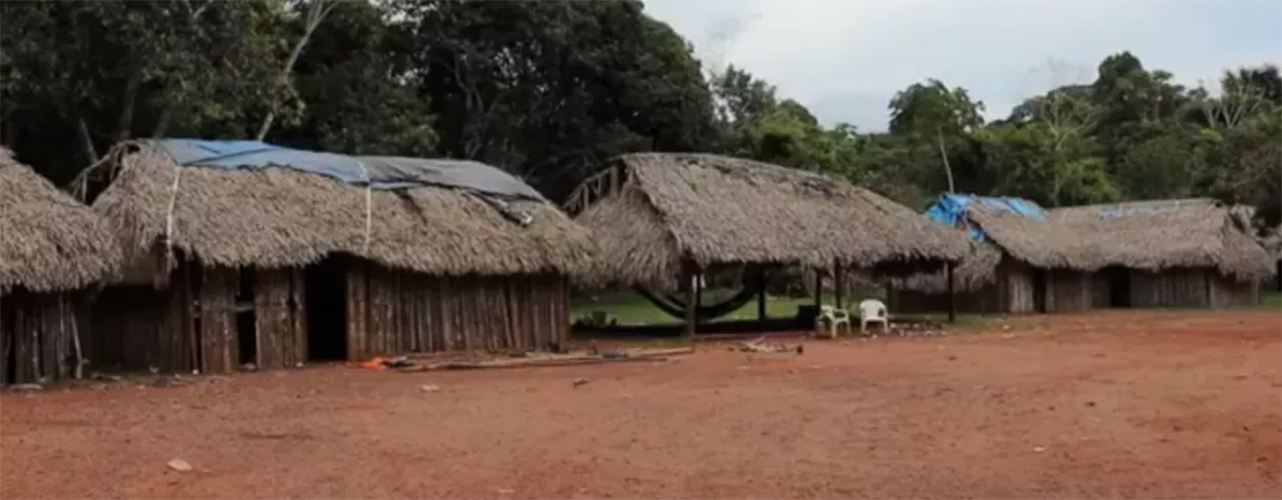 Read more about the article Conselho derruba ofensiva contra povos tradicionais, mas o Pará ainda é uma porta aberta para a destruição da Amazônia
