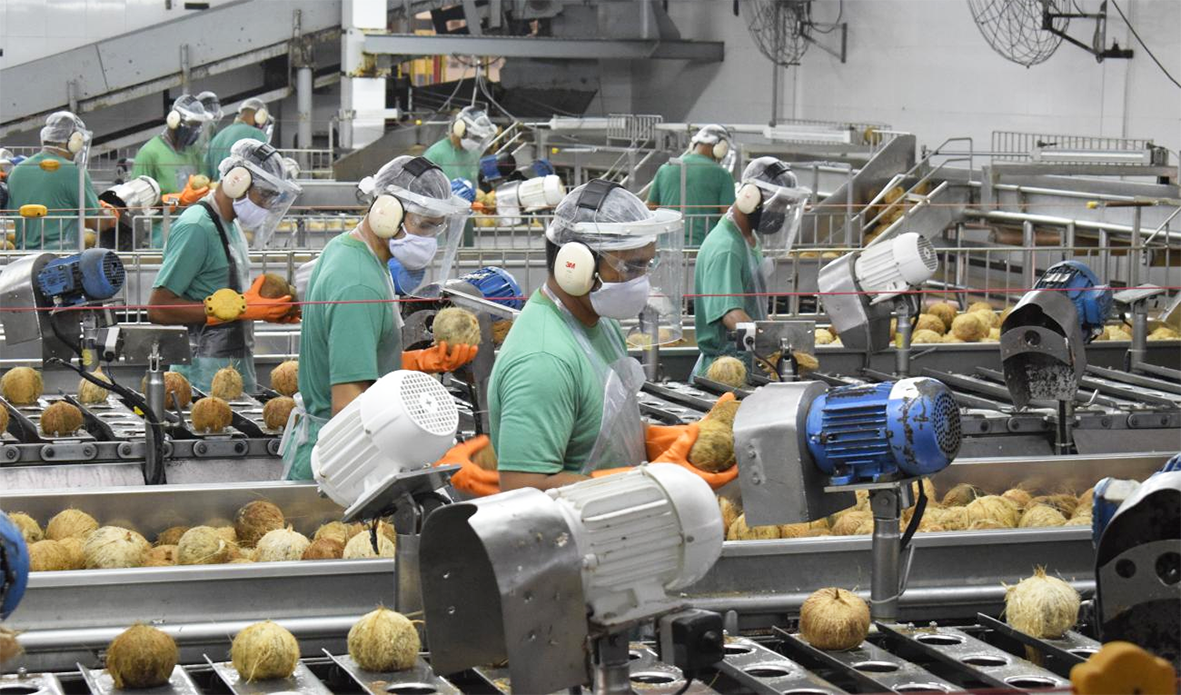 Read more about the article Indústria de transformação afunda em Belém e população sobrevive à base de “pão e circo”