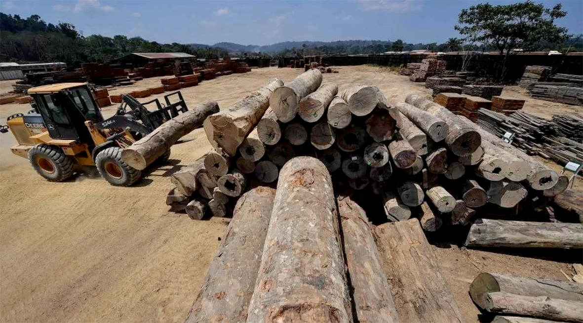 Read more about the article CNJ afasta do cargo e abre investigação contra juiz do Pará que liberou madeira apreendida pela PF