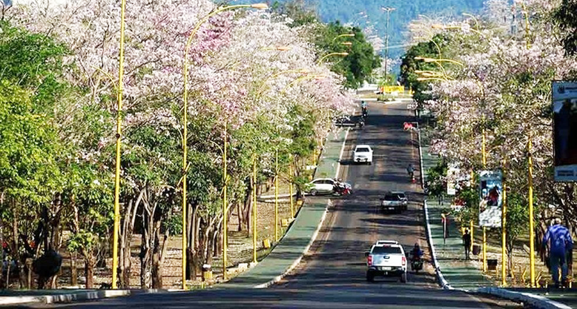 Read more about the article MP propõe e Justiça abate licitação de R$ 188 mi para coleta de lixo em Parauapebas em pleno voo