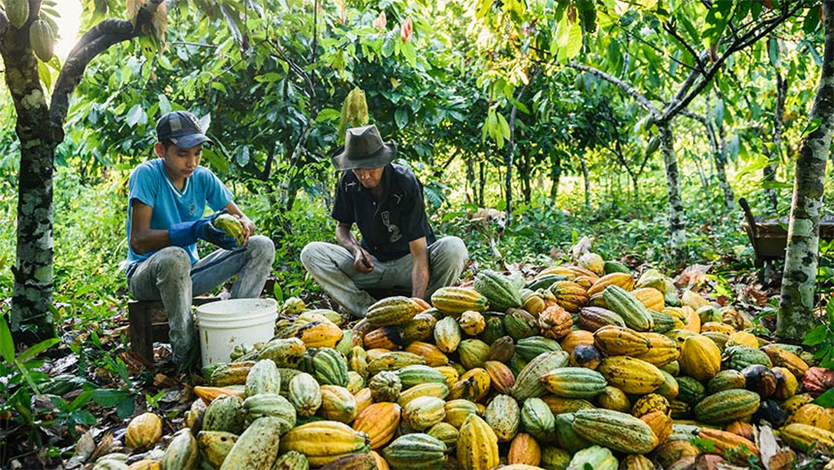 Read more about the article Basa institui PDV para engenheiros, mas medida pode levar risco às atividades