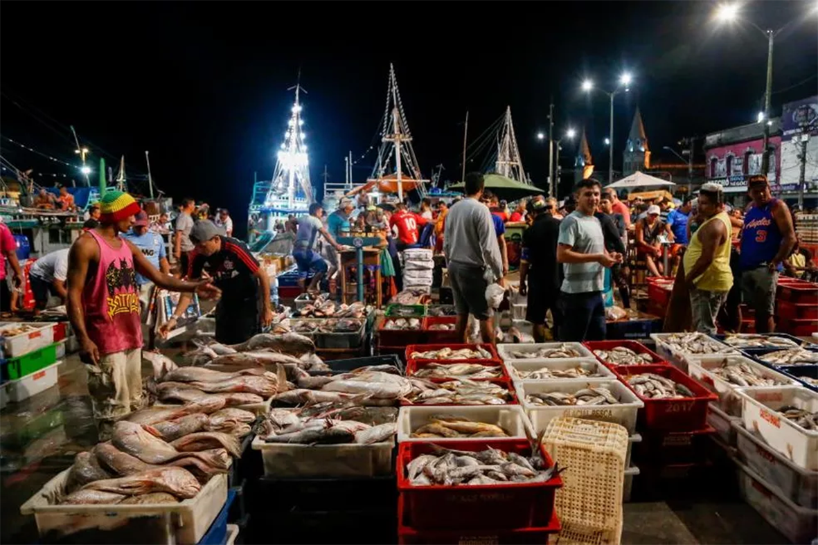 Read more about the article Ausência de controle sanitário expõe consumidores do Pará a riscos nos mercados de peixe; ‘Urina preta’ é um deles.