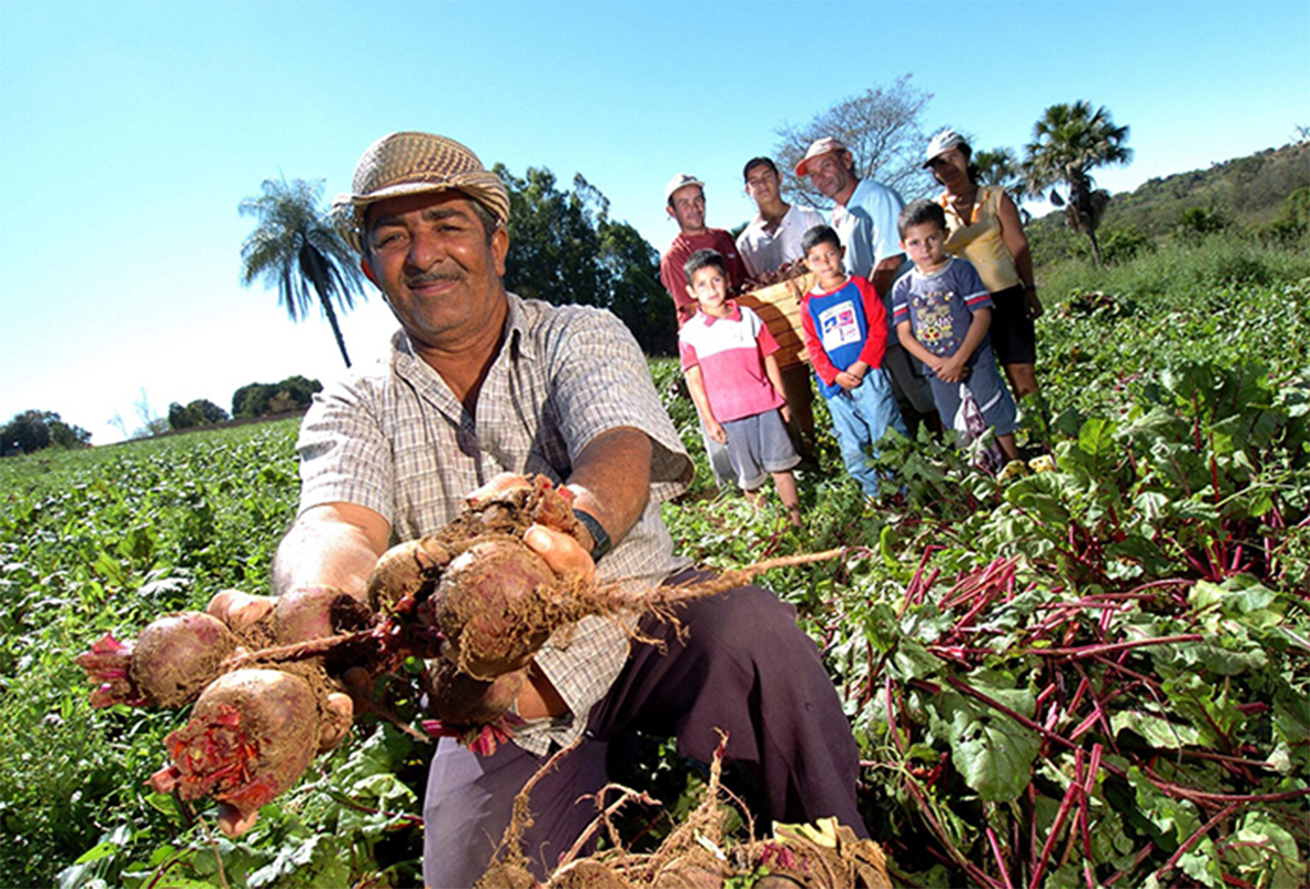 Read more about the article Eleição de Lula preocupa agro no Pará, mas agricultura familiar aguarda injeção de recursos do novo governo