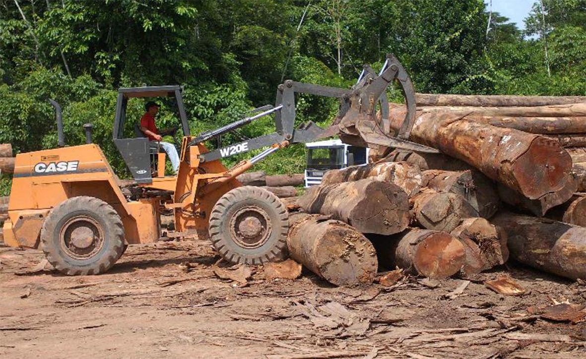 Read more about the article Emergência ambiental em 15 municípios abre caminho para contratação de serviços com dispensa de licitação