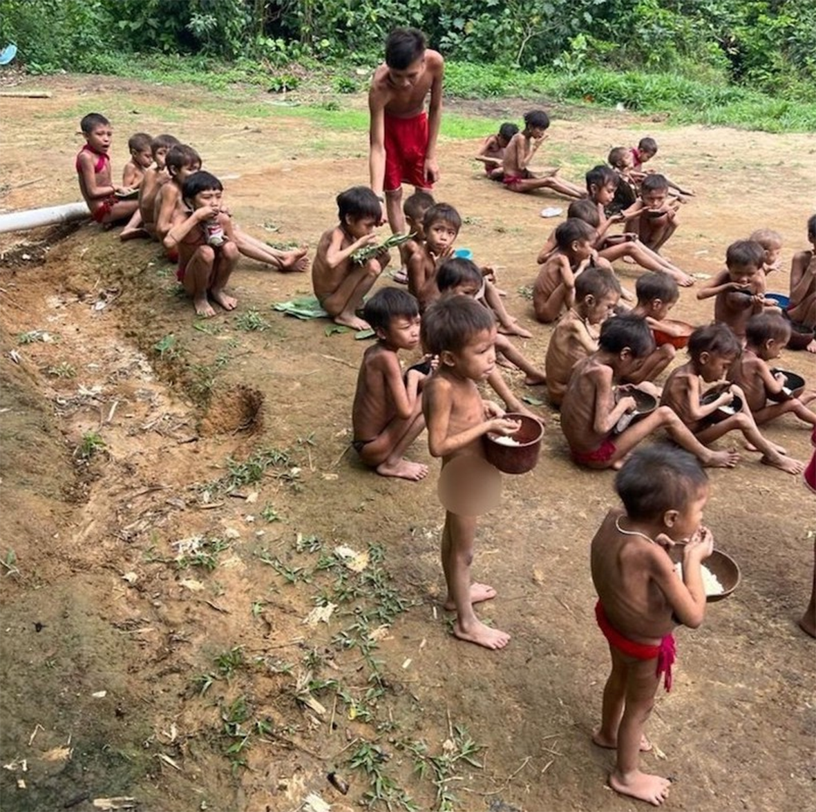 Read more about the article Instituto Evandro Chagas envia equipe técnica para missão humanitária na Terra Indígena Yanomâmi