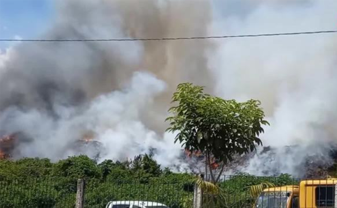 Read more about the article “Farra de plantões” na Vigilância Sanitária paga grupo escolhido a dedo; gestão Ed 50 promete investigar.