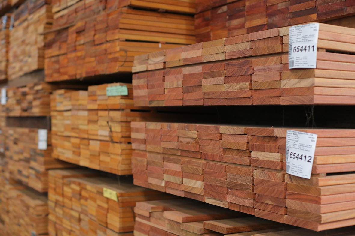 Read more about the article Sede da COP 30, em 2025, Belém não possui lei sobre compras públicas sustentáveis de madeira nativa