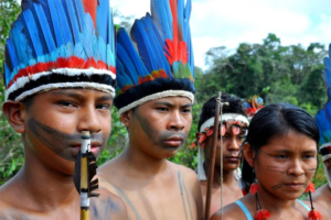 MPF pede à Justiça que governo do Pará seja obrigado a contratar professores para alunos de terra indígena