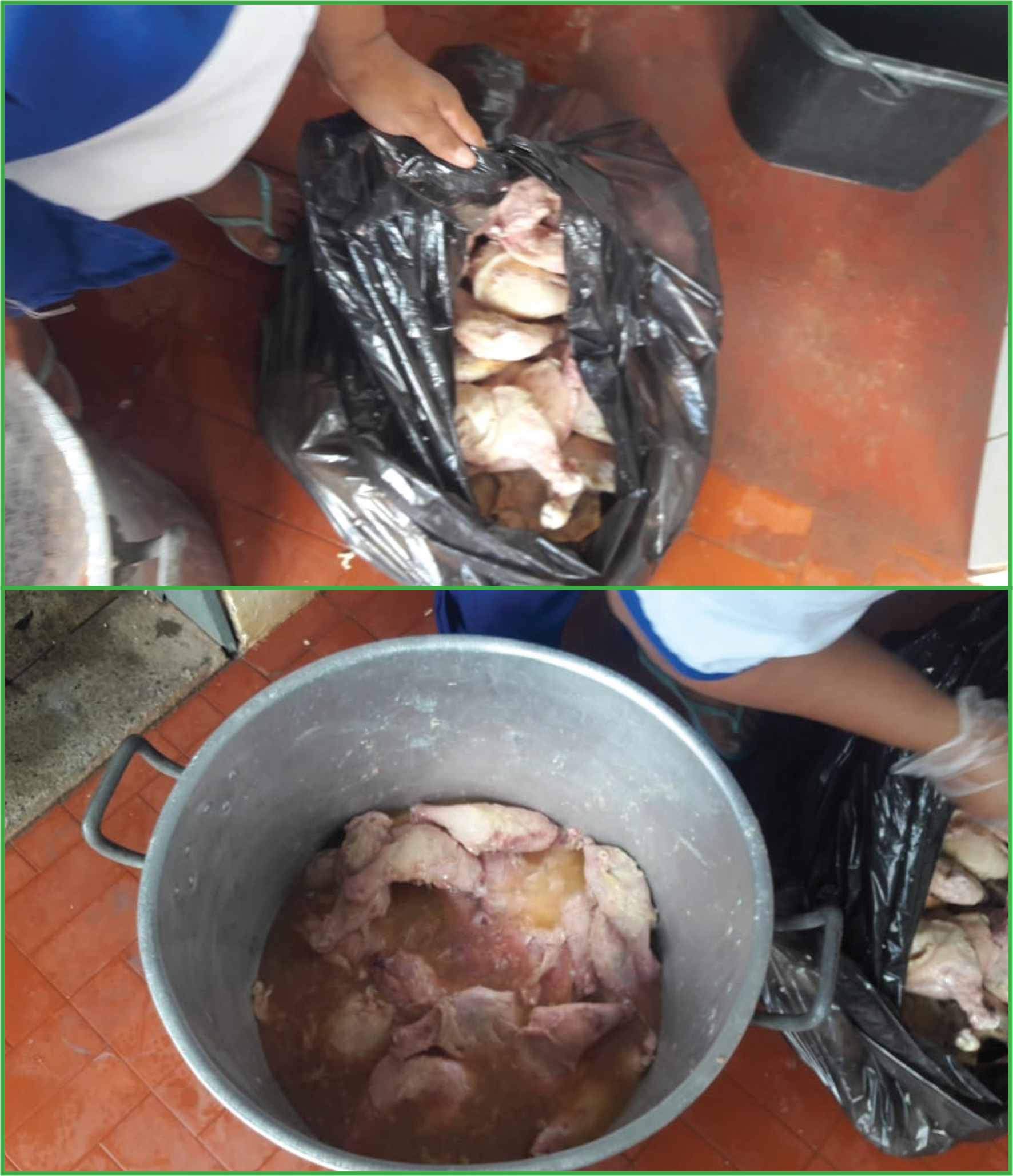 Read more about the article Escola do Estado em Ananindeua perde merenda escolar por não ter ‘freezer’, mas quintal deve estar capinado