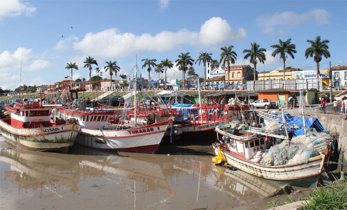 Read more about the article Produtores ‘invadem praia do Pará’ e discutem a pesca do pargo, mas Estado não é nem cheirado, nem ouvido