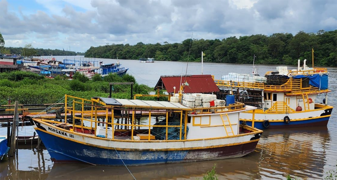 Read more about the article Quase metade da frota pesqueira de pargo fica no porto em Bragança por entraves na liberação de documentos