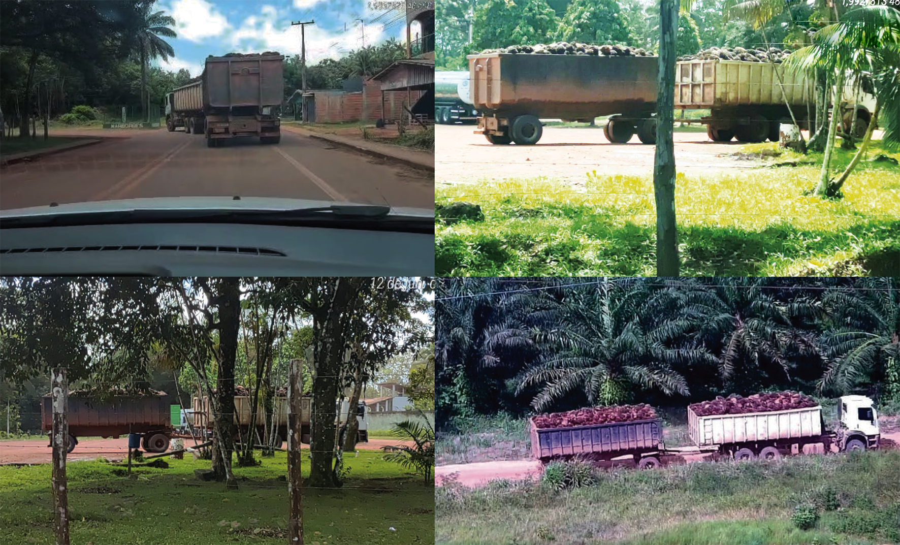 Read more about the article Empresas Marborges e Dendê Tauá são flagradas em escancarada operação de furto, mas seguem impunes